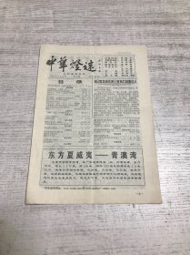 中华灯谜（2001年第三期 总第95期）