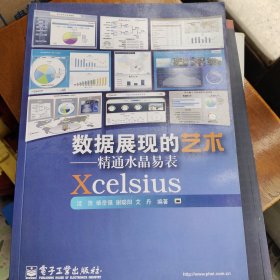 数据展现的艺术：精通水晶易表Xcelsius