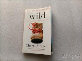 Wild：From Lost to Found on the Pacific Crest Trail