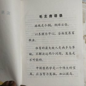 实用兽医诊疗学