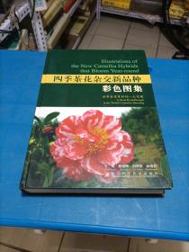 四季茶花杂交新品种彩色图集