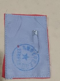 乌城市七中红卫兵 红卫兵：胸标袖标