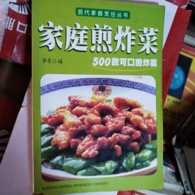 家庭四季美食丛书——家庭煎炸菜