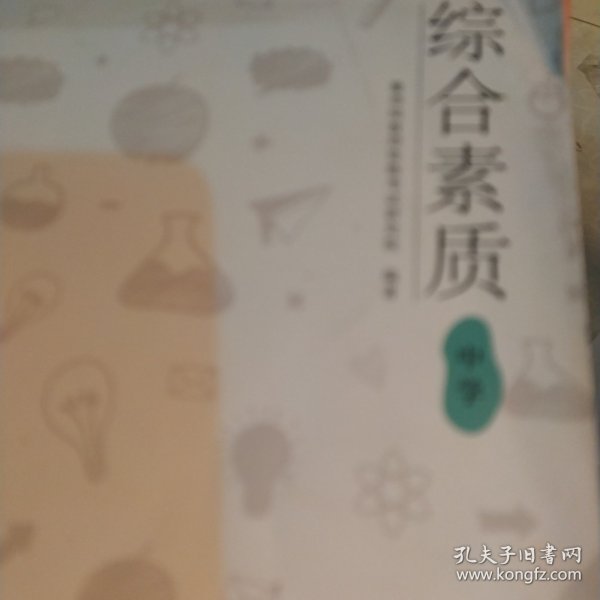 综合素质：中学