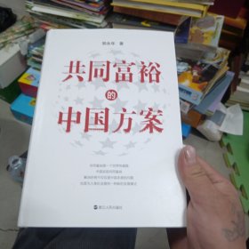 共同富裕的中国方案