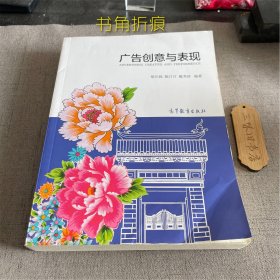 广告创意与表现（书角折痕 内页干净）2020