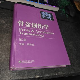 骨盆创伤学（第2版）