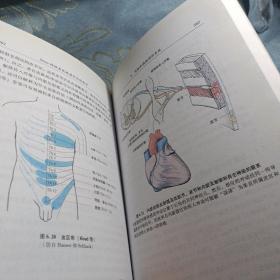 Duus神经系统疾病定位诊断学 如图现货速发