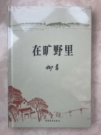 在旷野里