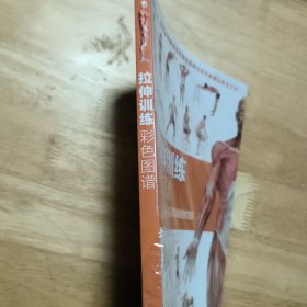 拉伸训练彩色图谱