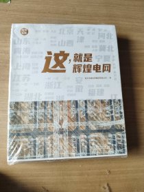 这，就是辉煌电网
