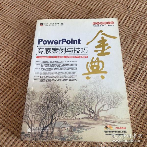 职业塑身计划：PowerPoint专家案例与技巧金典