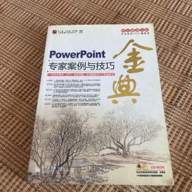 职业塑身计划：PowerPoint专家案例与技巧金典