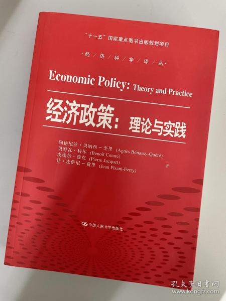 经济政策：理论与实践
