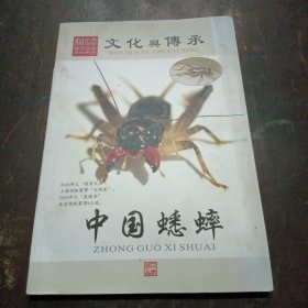文化与传承：中国蟋蟀