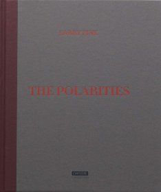 价可议 The Polarities twdzxdzx