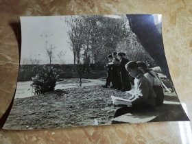 【老黑白照片】早期湖北艺术学院或附中校园一角学习场景