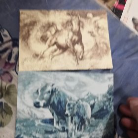 三弟明信片一套两张，凸凹版
