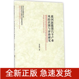 我國新能源汽車產(chǎn)業(yè)風(fēng)險識別與評價研究