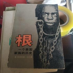 根一个美国家族的历史