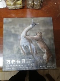 万物有灵 国际野生生物摄影年赛第55届获奖作品