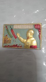 毛主席接见红卫兵像章（罕见）