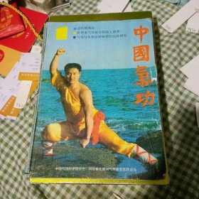 中国气功杂志1990年1-6期合订本 双月刊