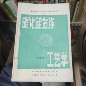 碳化硅冶炼工艺学 （中级本）