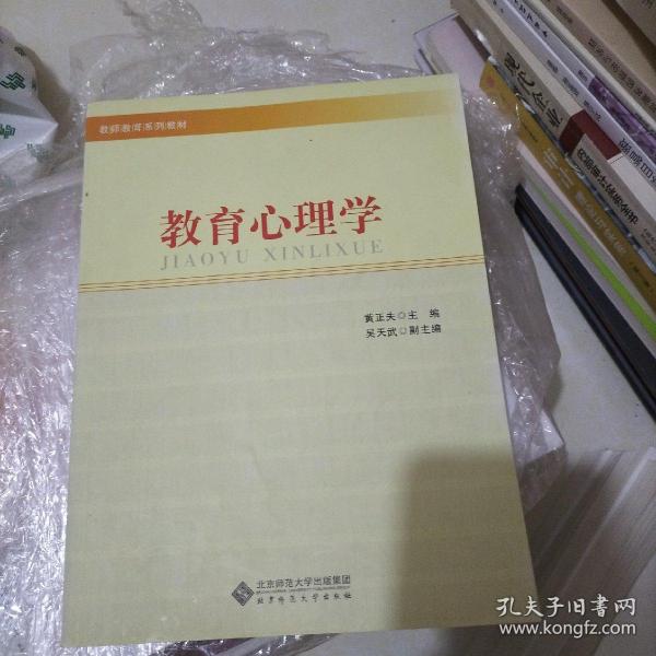 教师教育系列教材：教育心理学