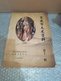 宣威市文史资料 第十一辑