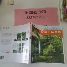 观赏竹与景观