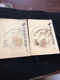 山水画自学向导（上下册）