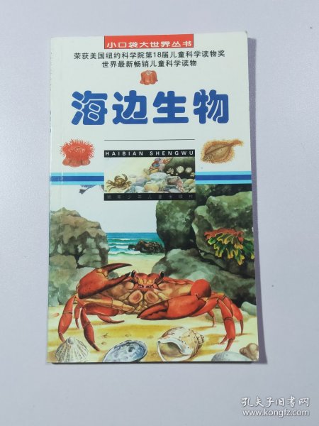 小口袋大世界丛书海边生物