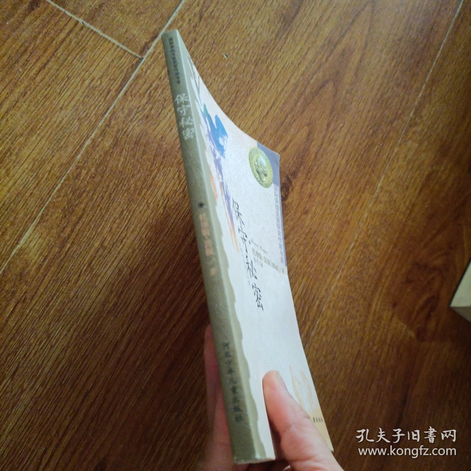 保守秘密：国际安徒生获奖作家书系