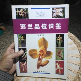 滇兰品位识鉴 陈贵 著 云南科技出版社9787541617669