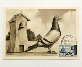 法国信鸽雕刻版邮票极限片1枚，销1957年1月12日万塞讷首日地名戳。