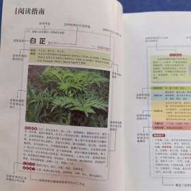 精编《本草纲目》药物彩色图鉴，刘春生，周重建，谢宇主编，山西科学技术出版社2016年一版一印，（缺封面封底，实物拍图，外品内页如图，内页干净整洁无字迹，无划线，内容完整，低价出售）重2.3公斤