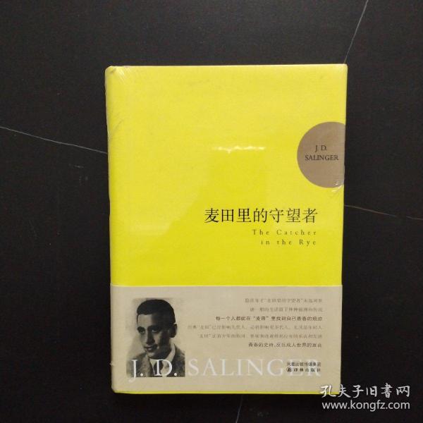 麦田里的守望者 纪念版