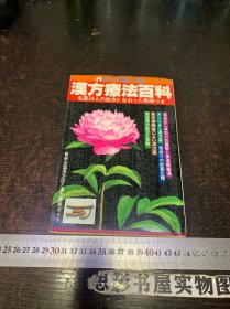 汉方疗法百科【32开】