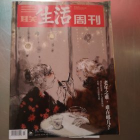 三联生活周刊2024年第47期