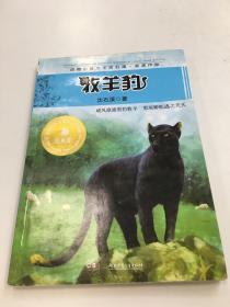 儿童文学名家名作美绘馆  牧羊豹