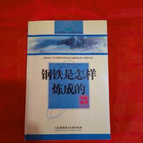 钢铁是怎样炼成的(专家名师)-2005年7月2版7印