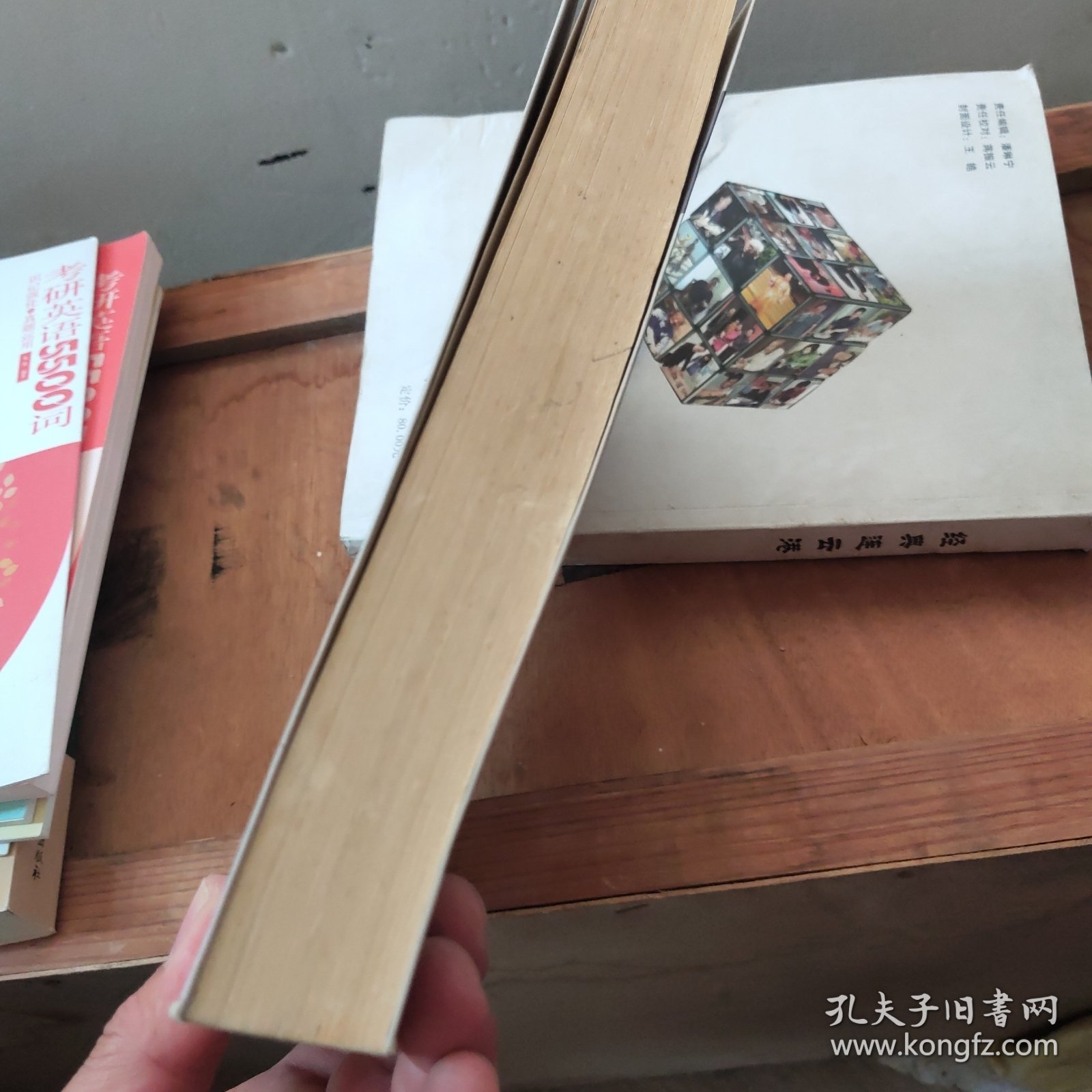 教育智库·寻找教育家成长智慧书系·重庆：特色学校建设