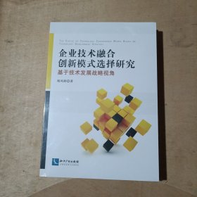 企业技术融合创新模式选择研究：基于技术发展战略视角   51-141