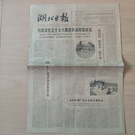 湖北日报   1964/9/5