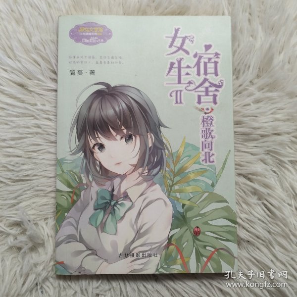 意林：小小姐日光倾城系列8--女生宿舍Ⅱ·橙歌向北（升级版）