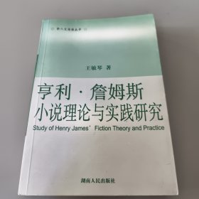 亨利·詹姆斯小说理论与实践研究