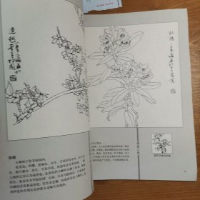 华玉珊百花记（签赠本）