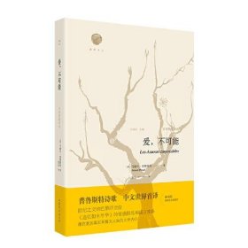 雅歌译丛：爱，不可能精装