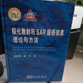 极化散射与SAR遥感信息理论与方法